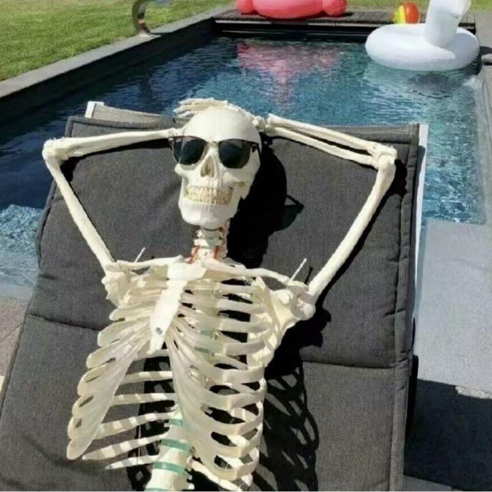 🦴神奇骨头🦴