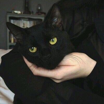 起风了.