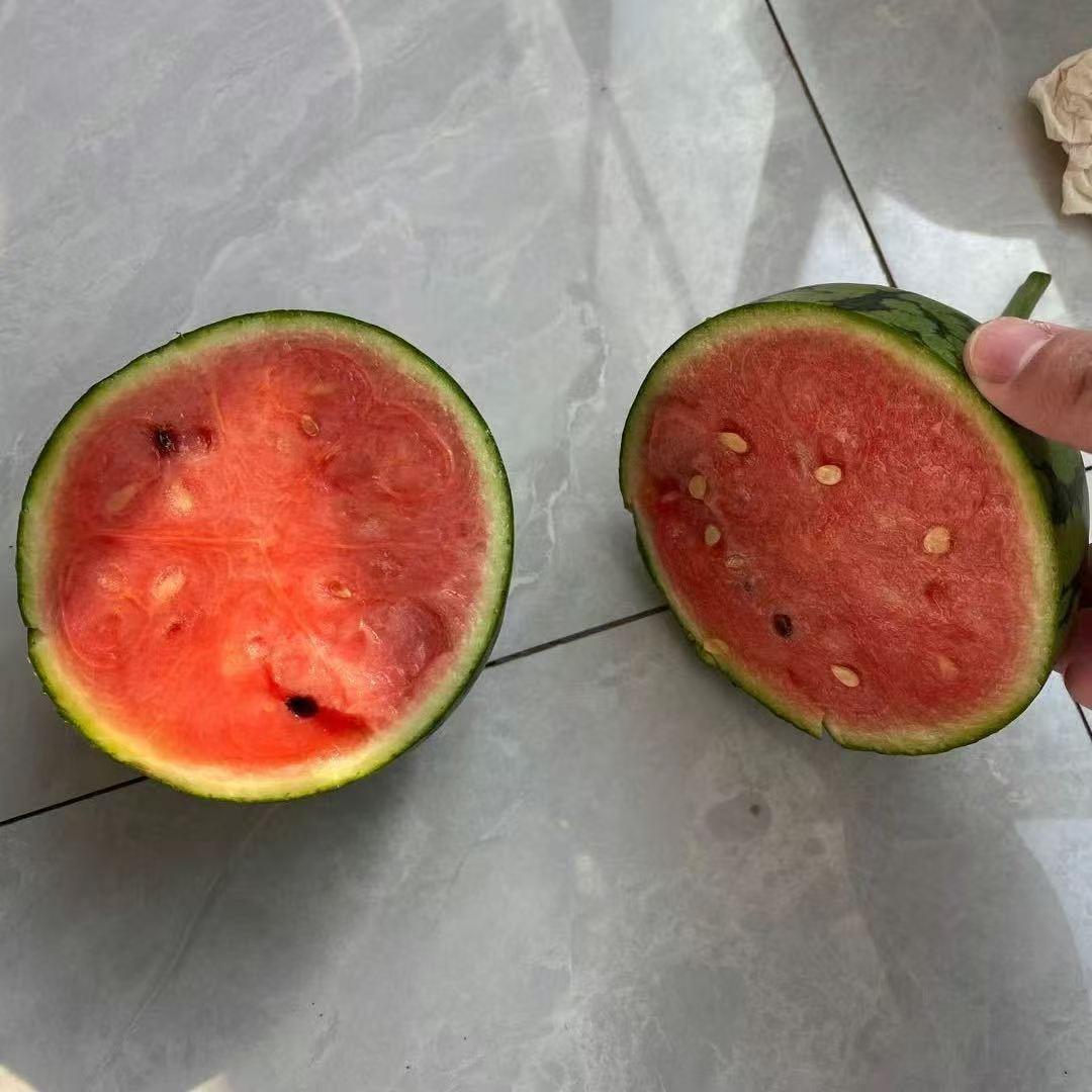 瓜果代收代发