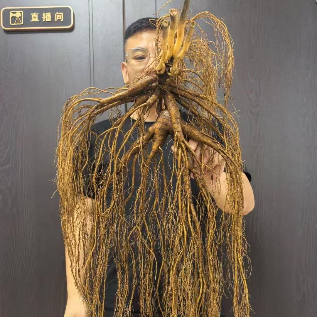 您好长白山特产