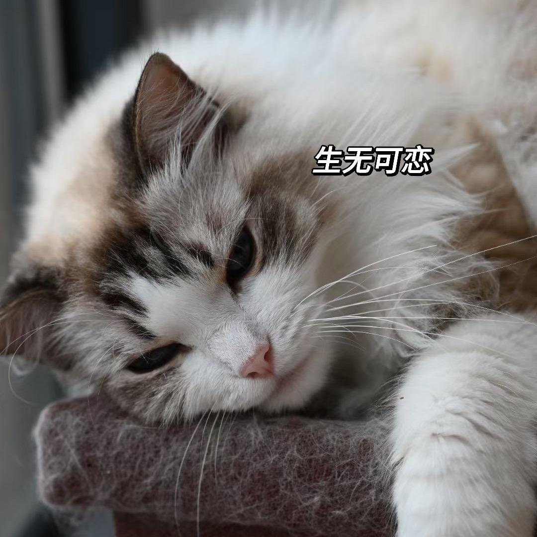 唐钰小宝