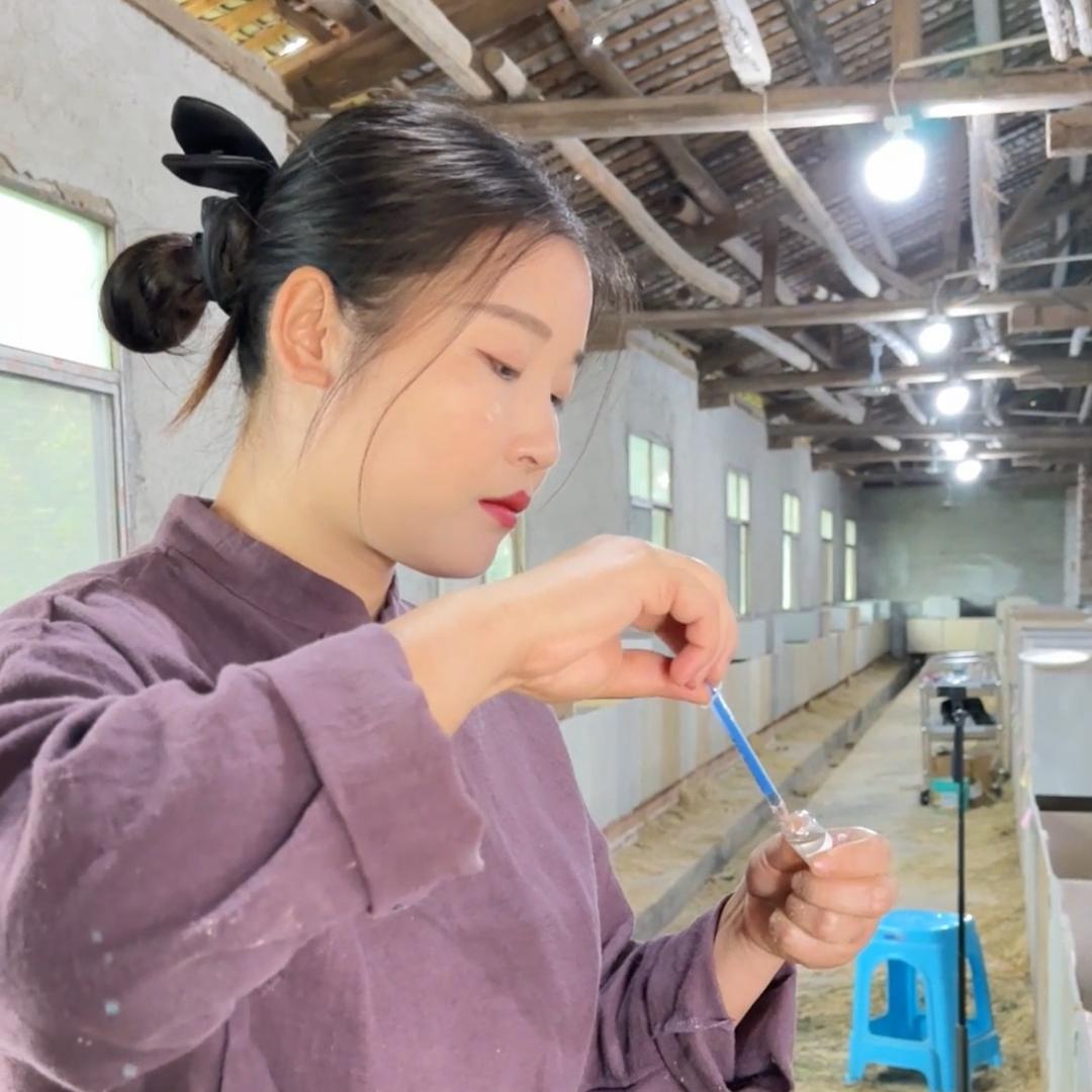养竹鼠的小花