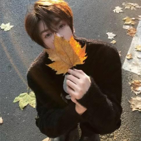 小羊/-