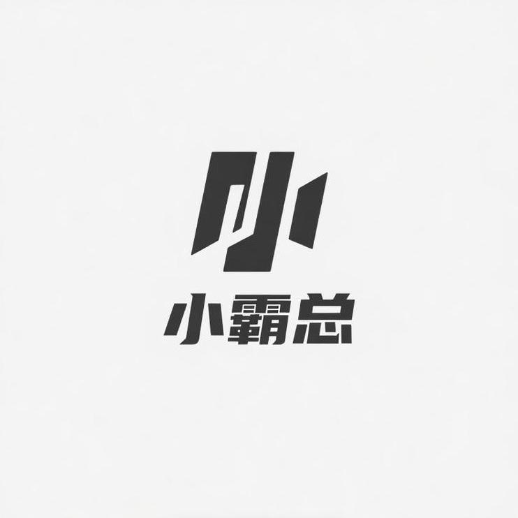 小霸总服装百货