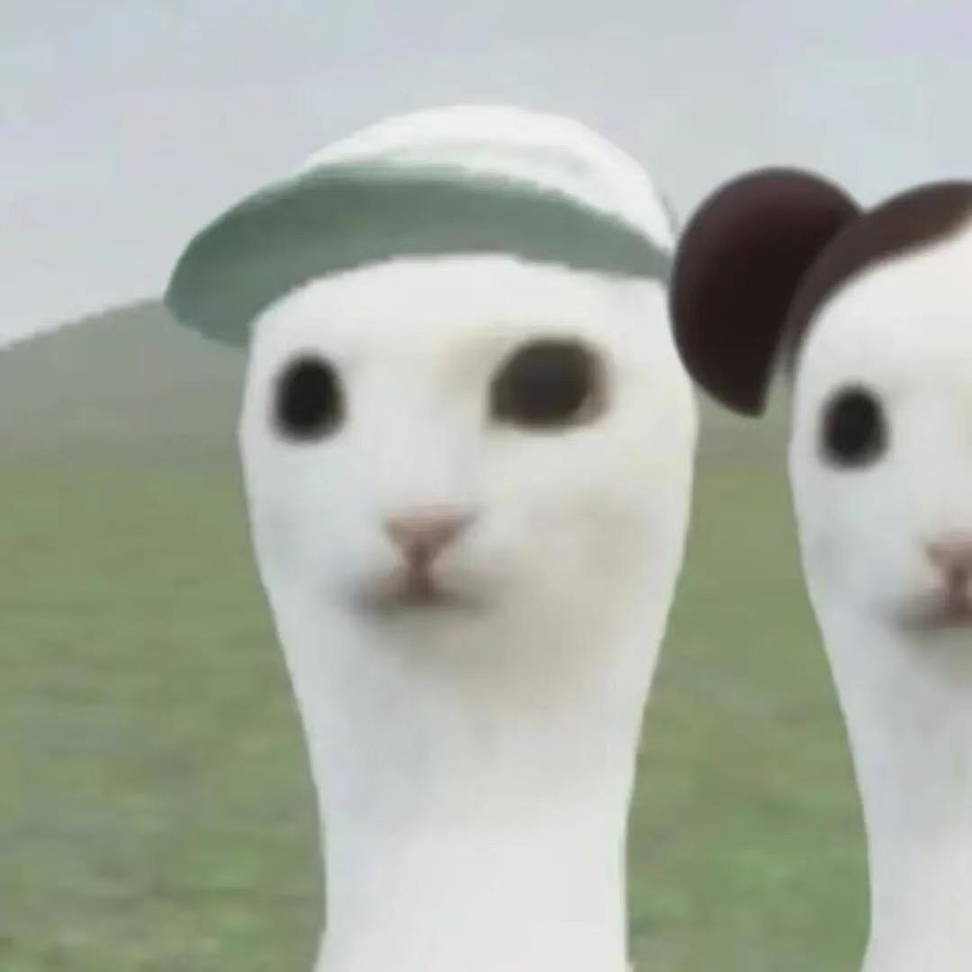 脚滑的小汁