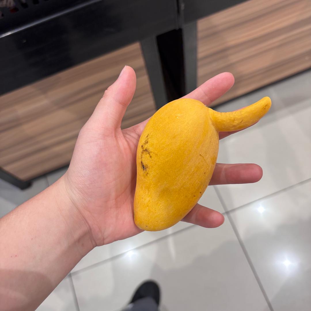 立志环游世界
