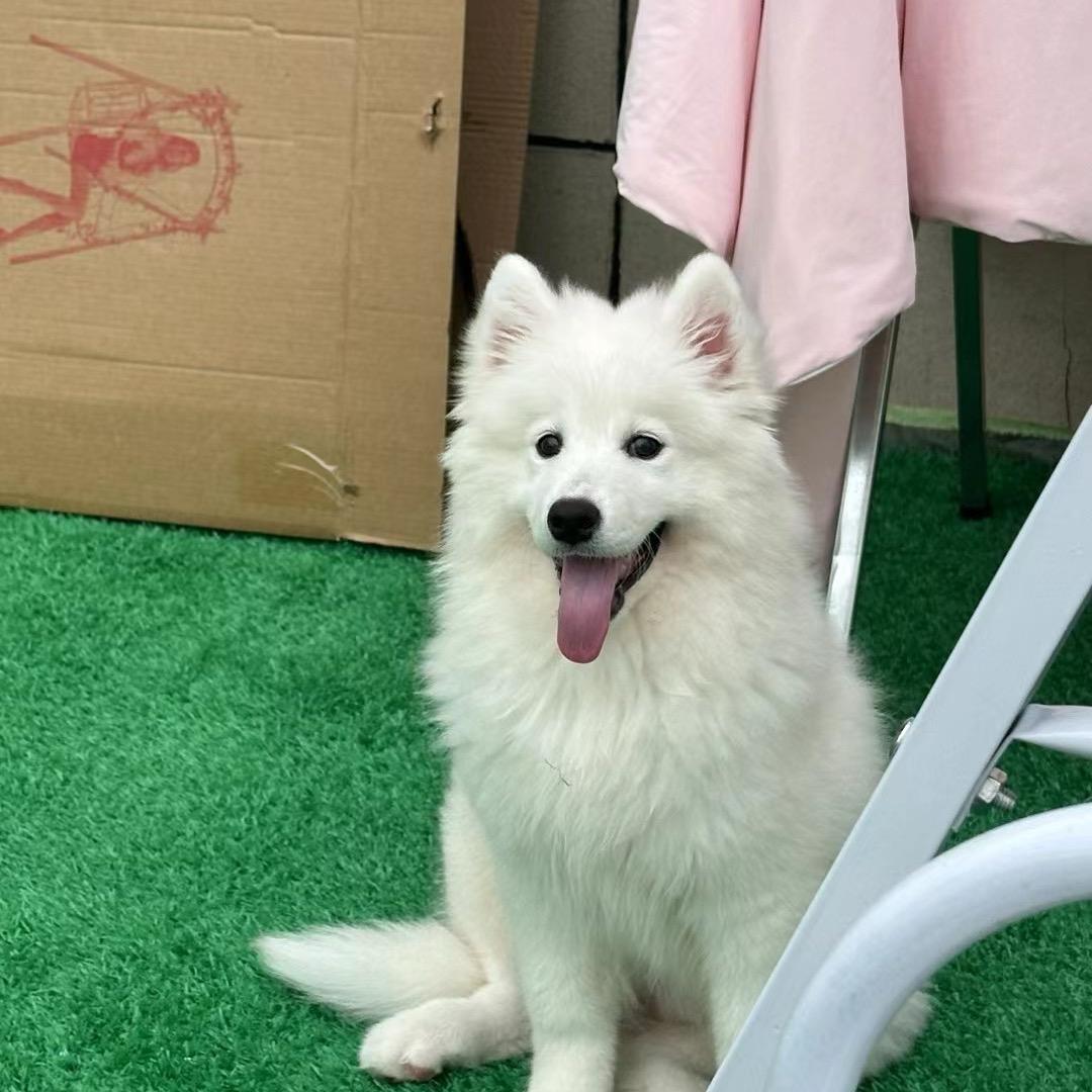 穗穗平安（已重生）