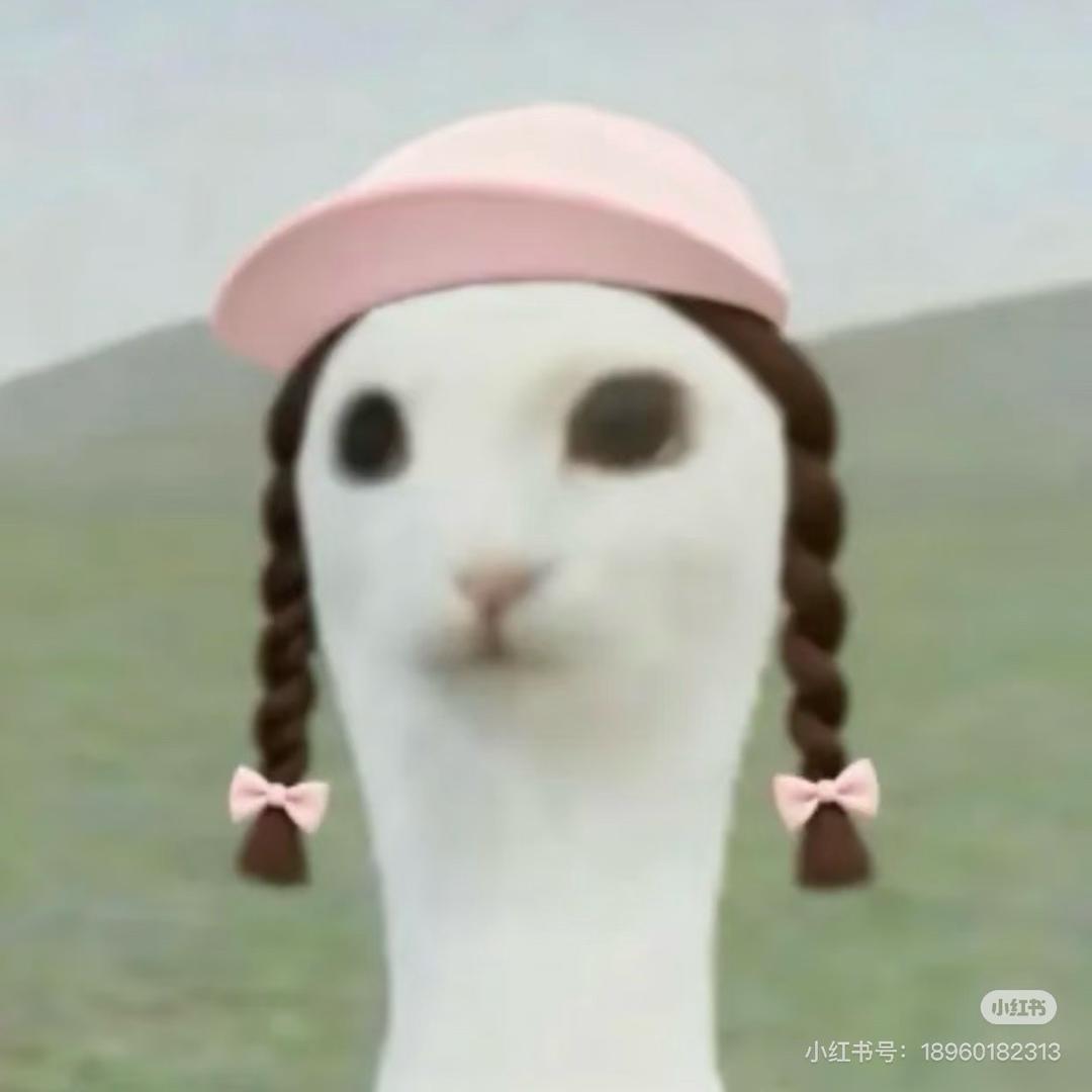 赵大葱