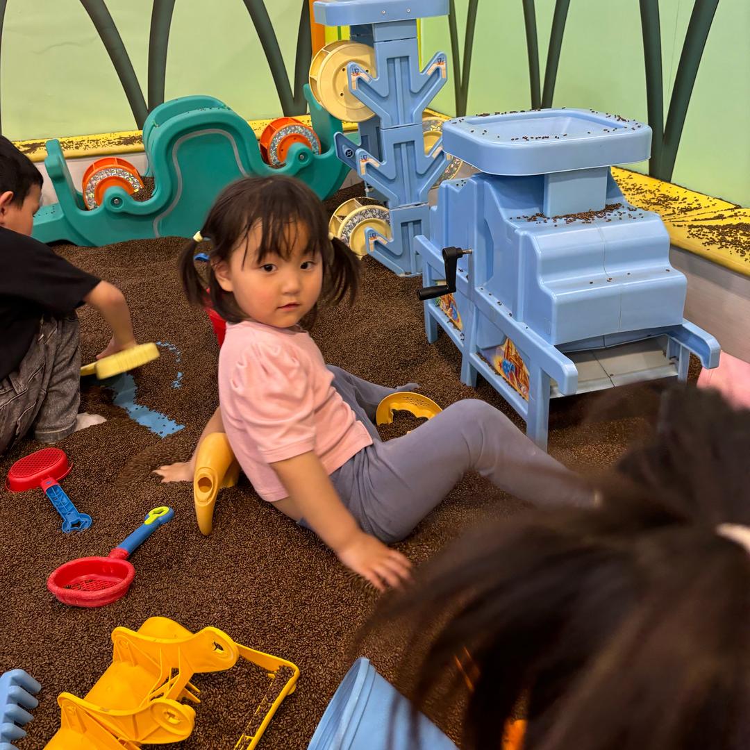 ❤️萤火晚枫❤️