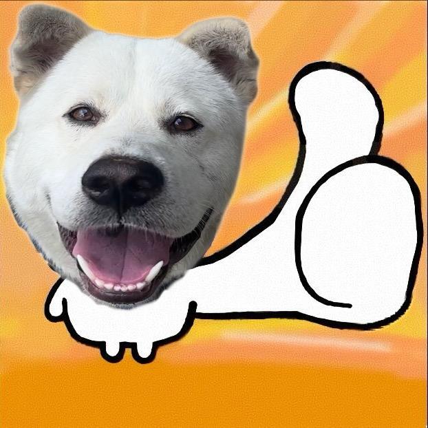 请多夸奖小狗• ᴥ.-