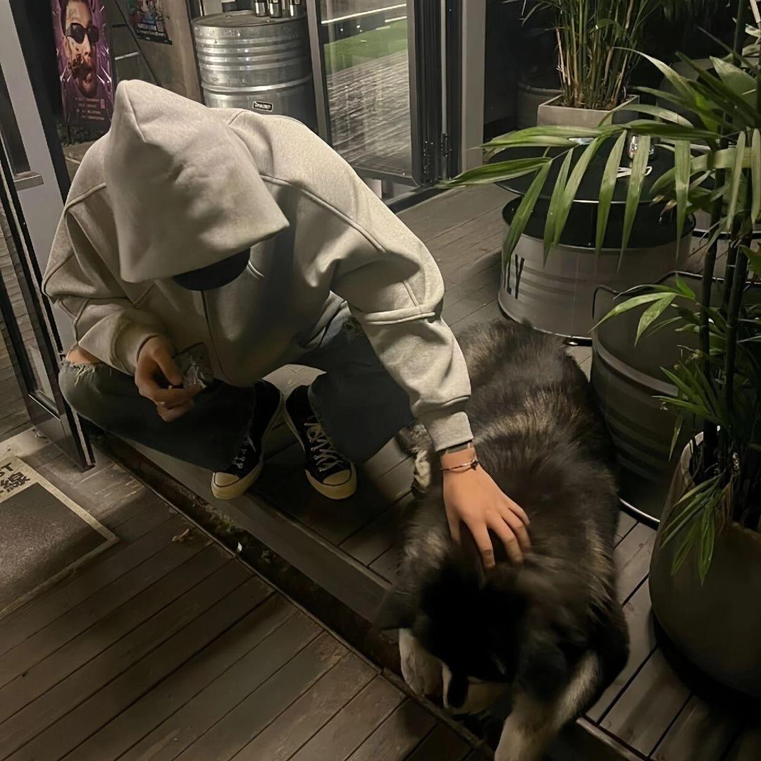 翼扬🦁