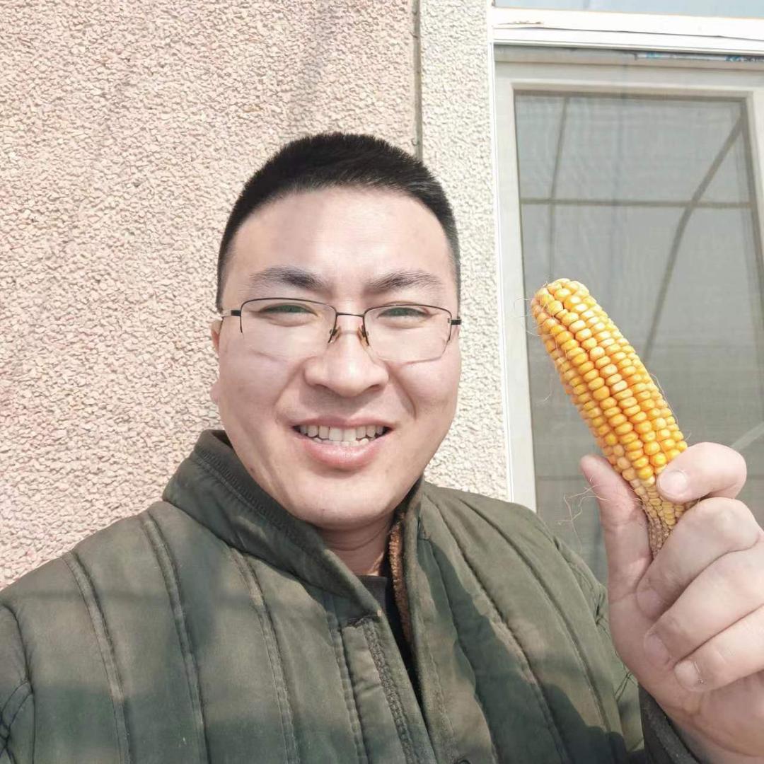 大果很正经儿(东北土特产)