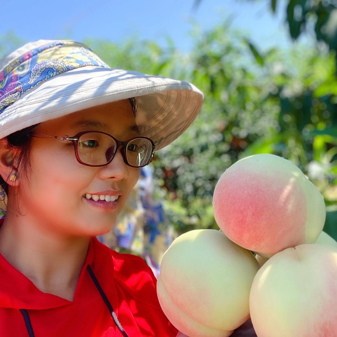 肥城市小蜜蜂家庭农场