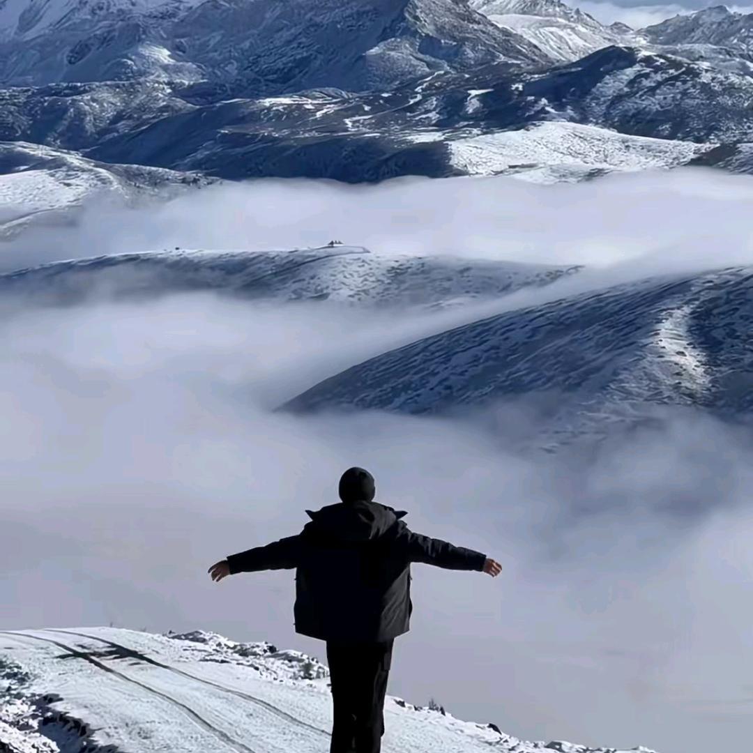 宠爱有家宠物坊