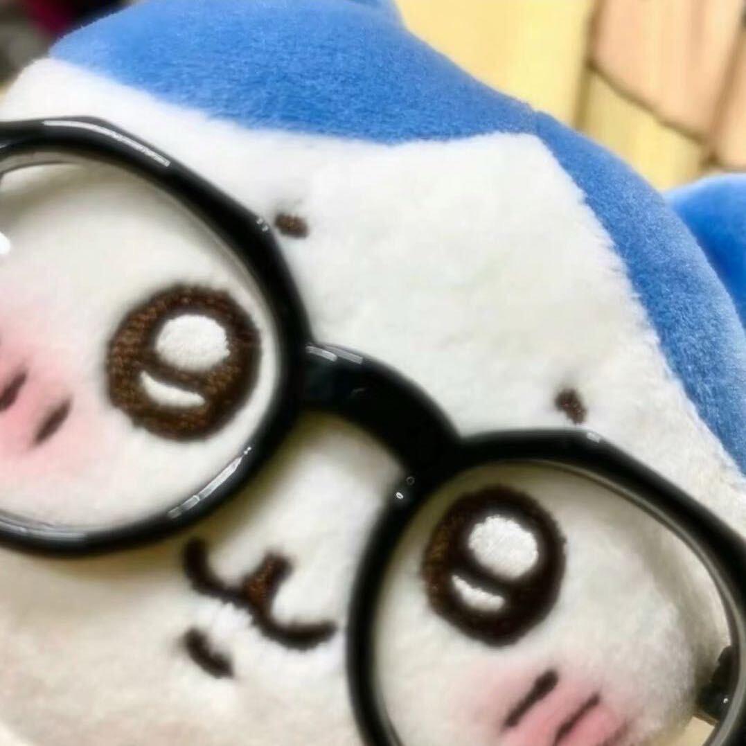 日记猫