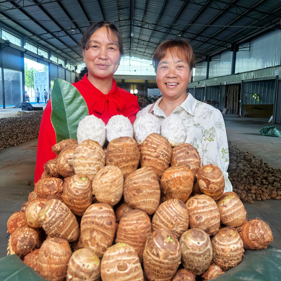 云顺百货严选铺子