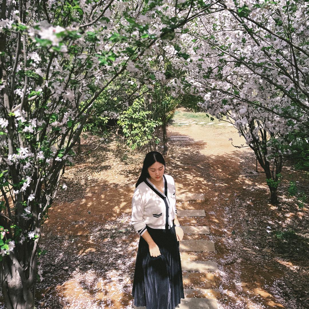 孤独漫步者的遐想