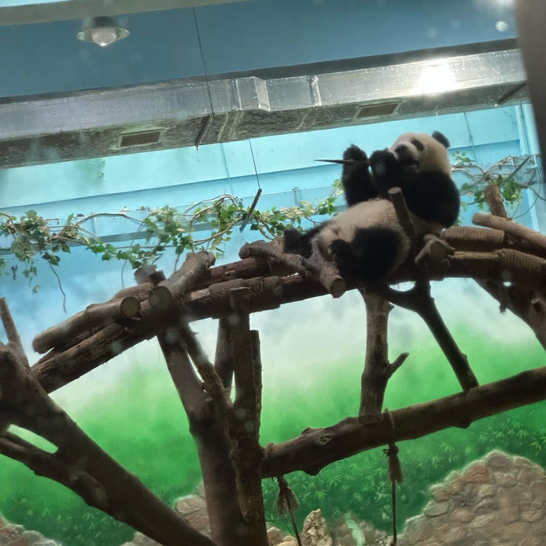 阿波罗整家定制