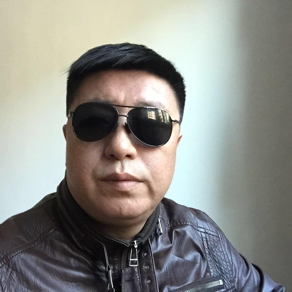 老孙的养猫日记