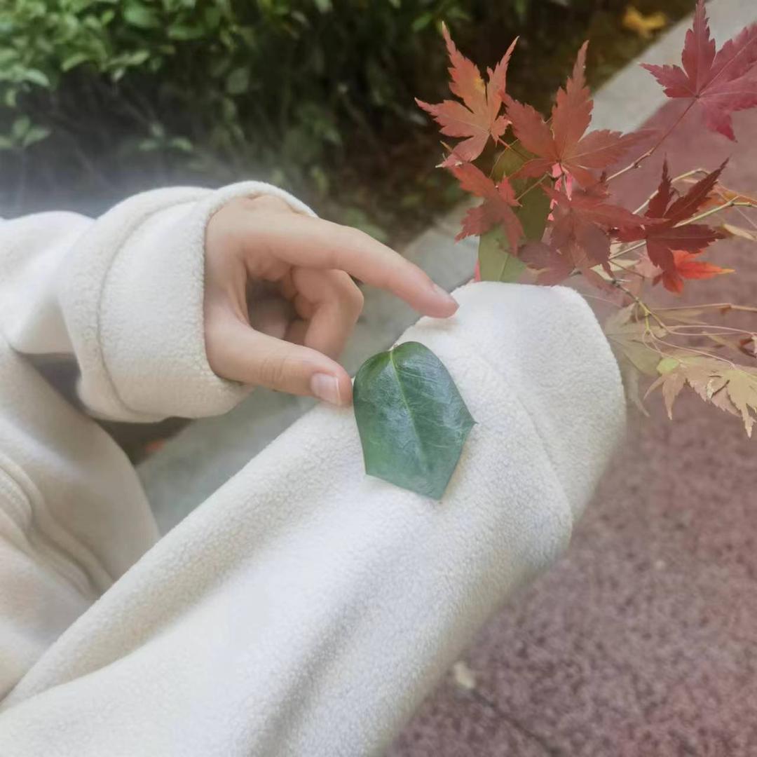 恩恩轩轩