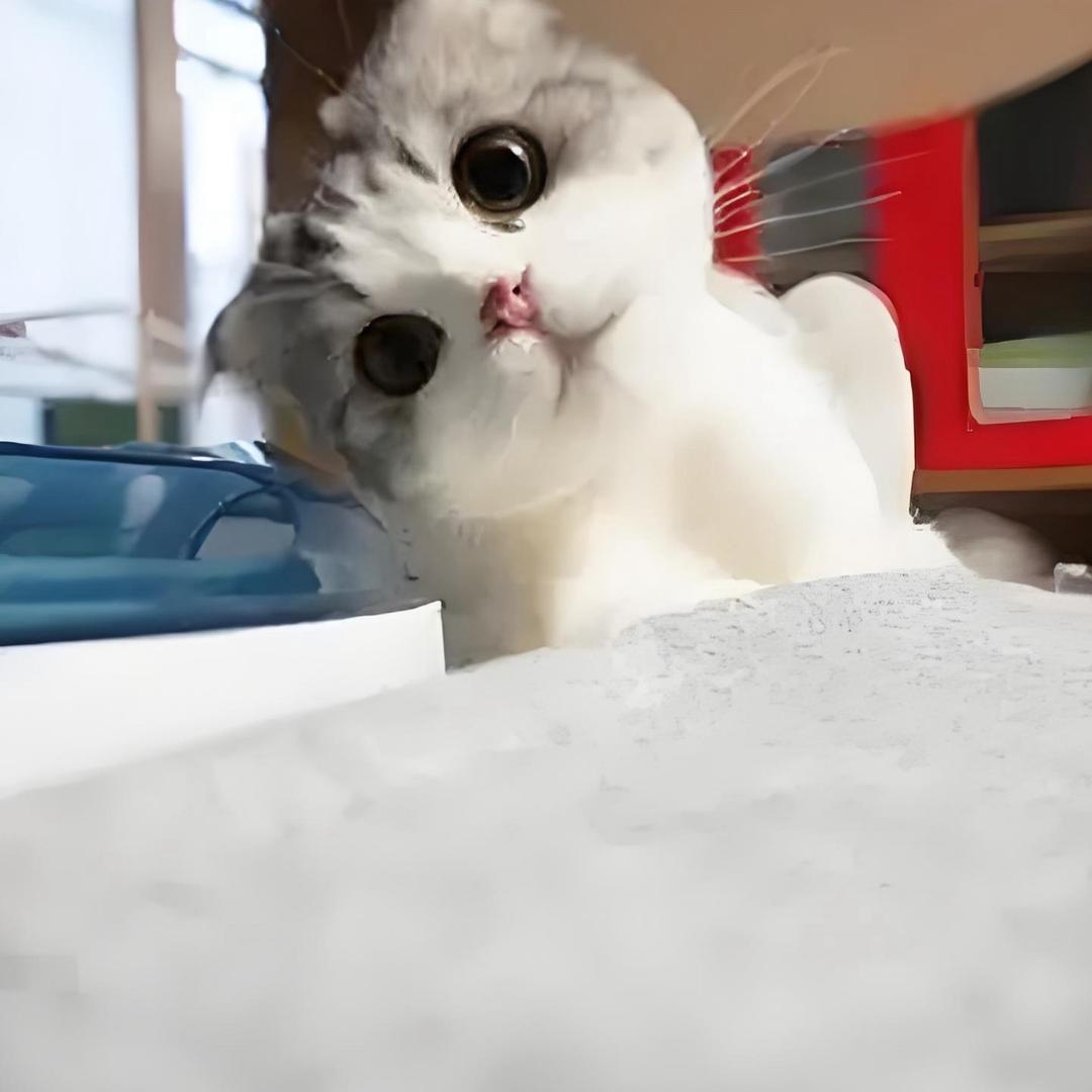 七