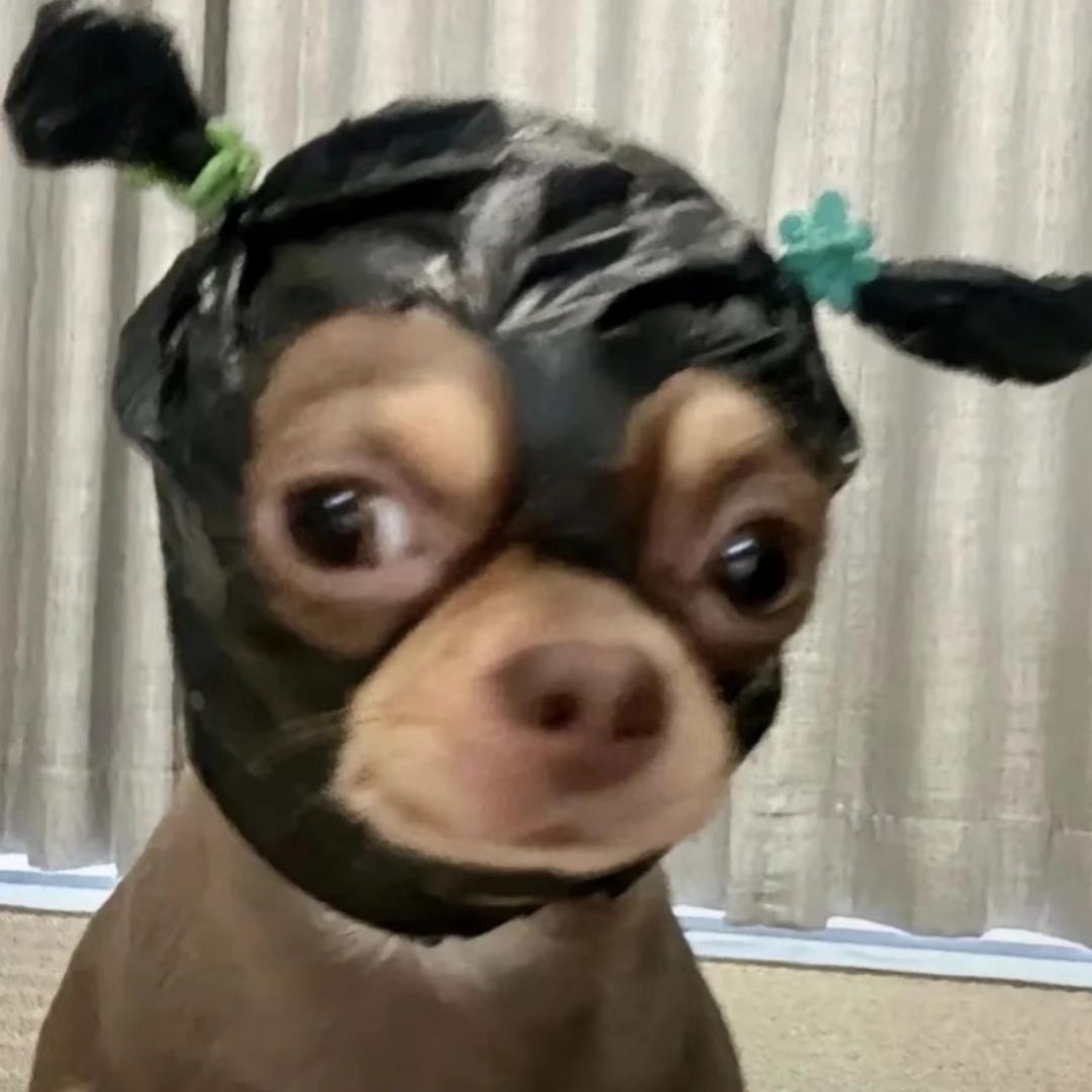 汤百万