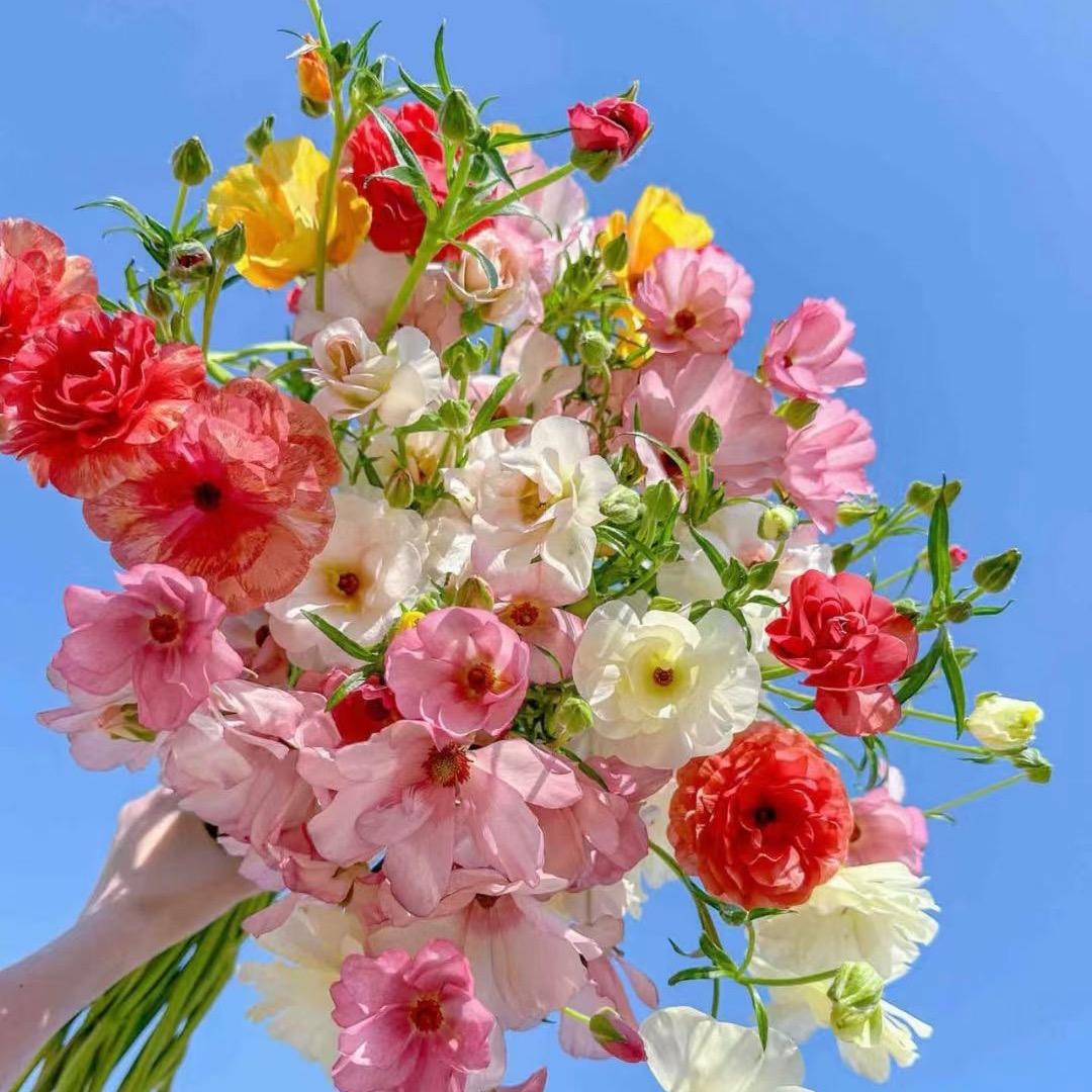 吃饱饱～没烦恼