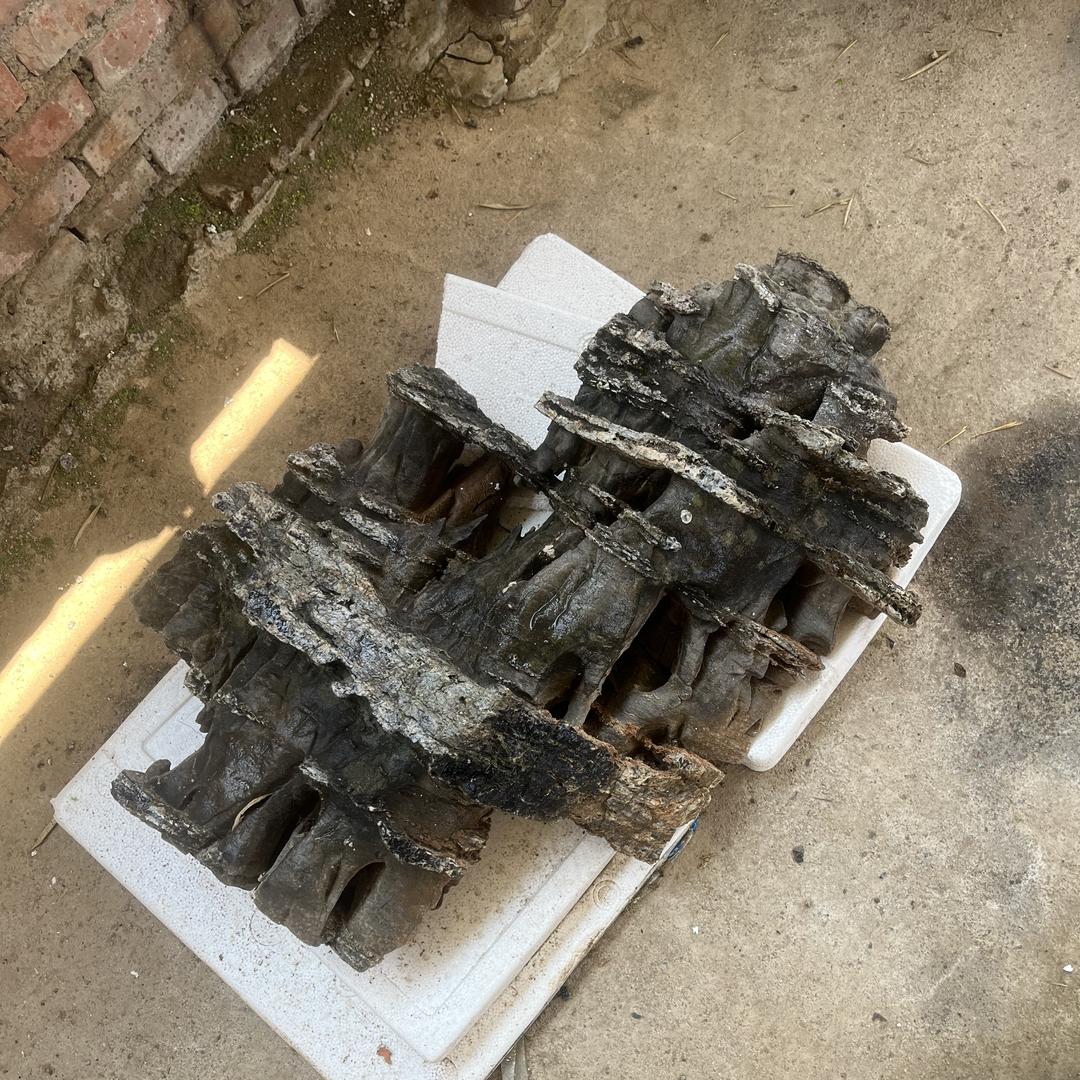 小莫，奇石原产地