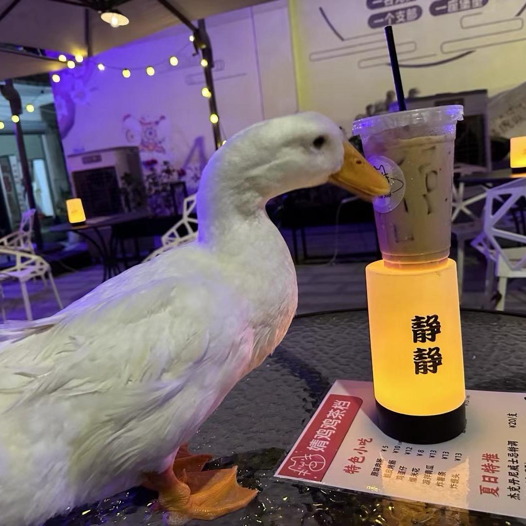 石角婧🐔🐔茶档