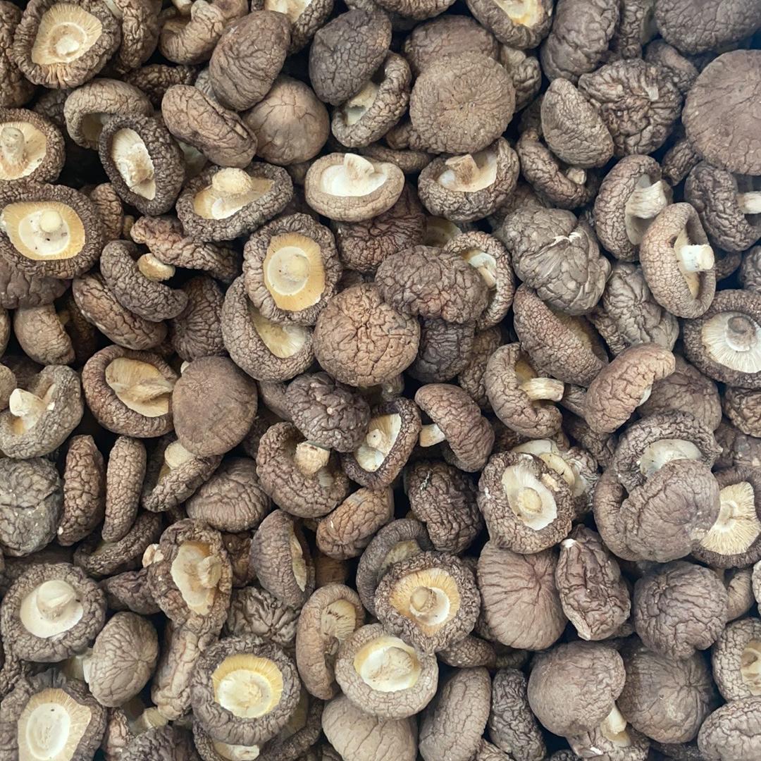 盛泰菌业