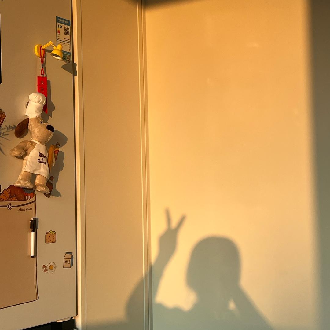 想去漠河炸榴莲❄️