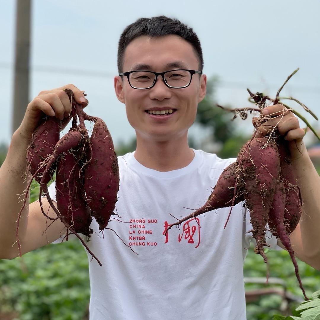 山立方沙地紫薯