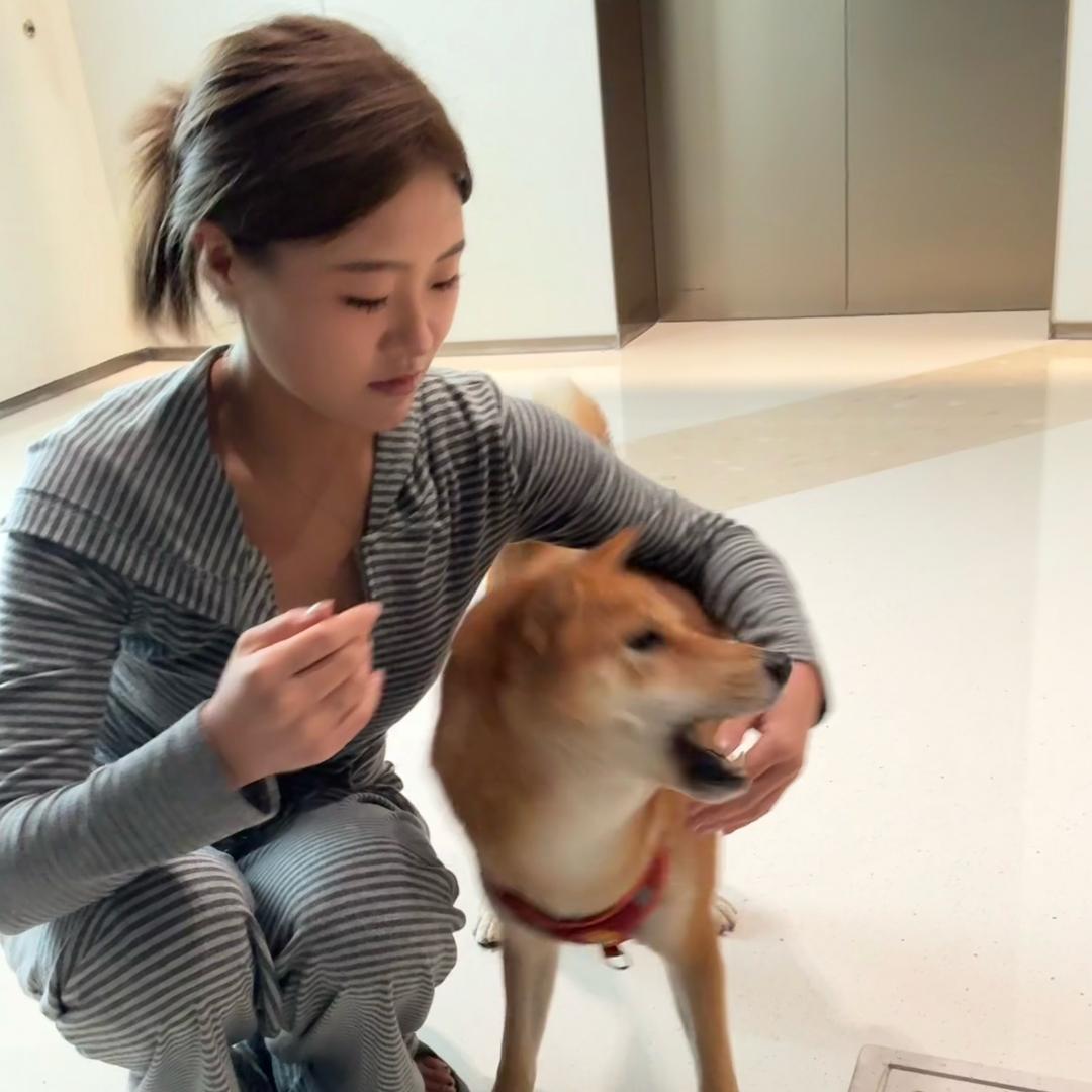饿了会吃饭