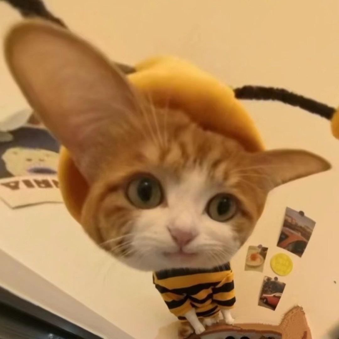 YiQ