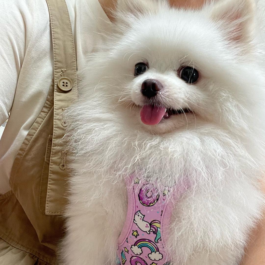 糕崽～