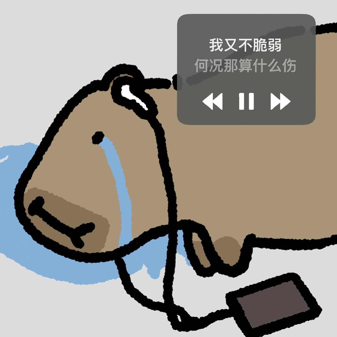 伤心的卡皮巴拉