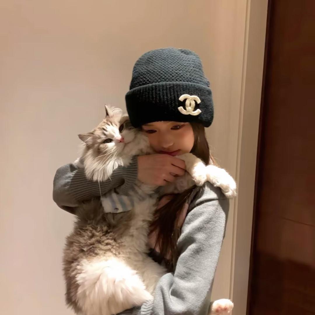 凯蒂猫