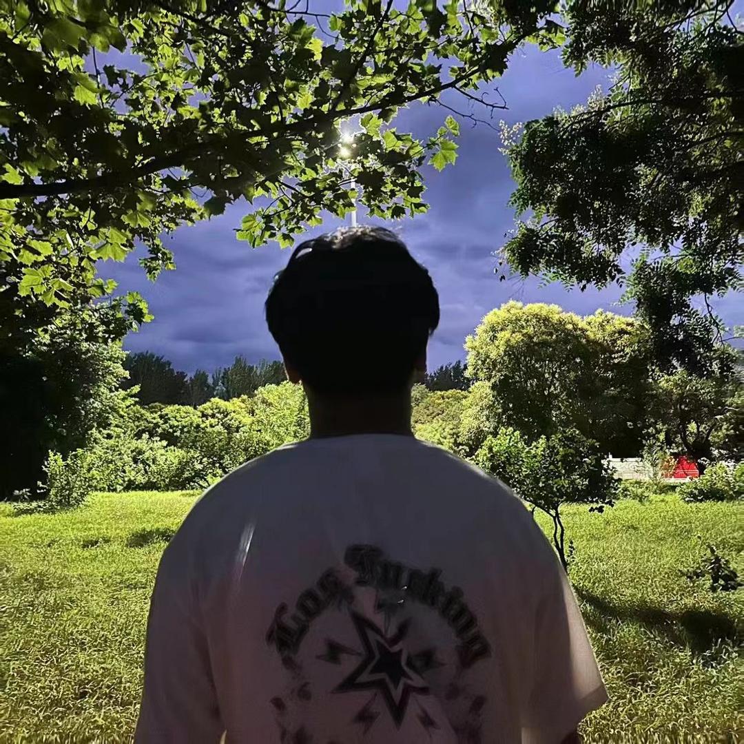 打怪兽的小李