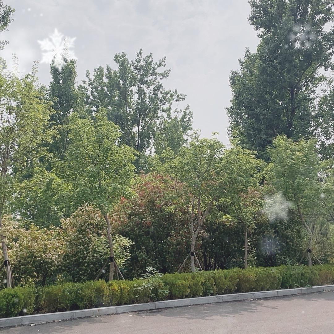 张经理