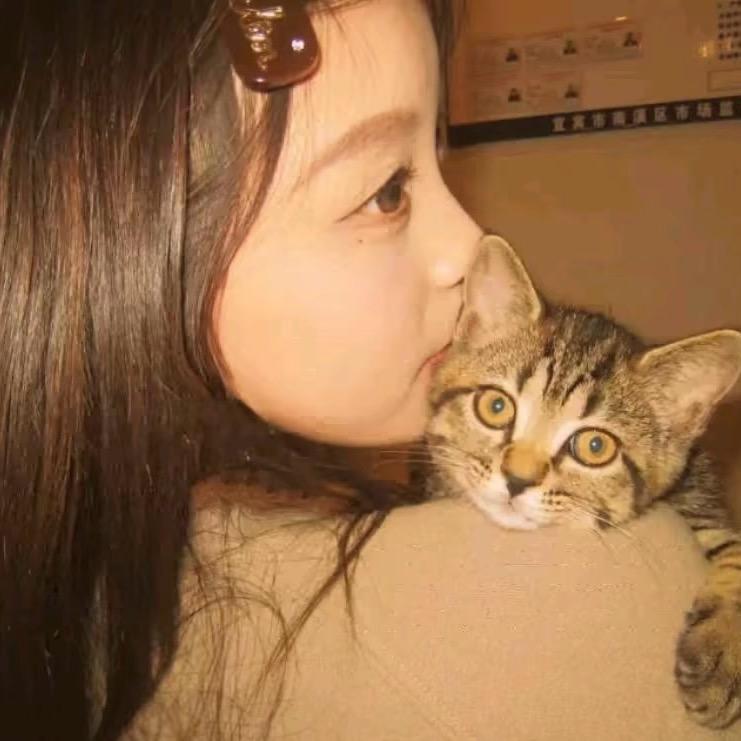 一只猫🫧