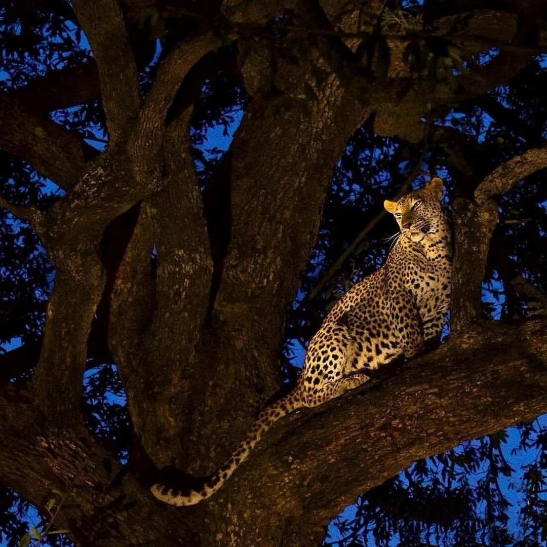 青年才俊裴勇俊