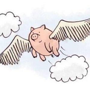 会飞的猪