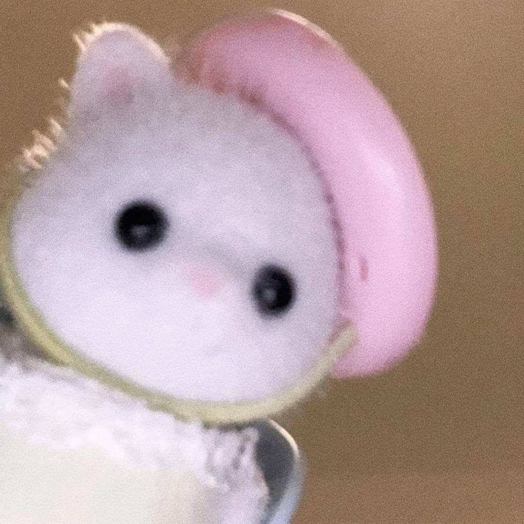 汪想哭