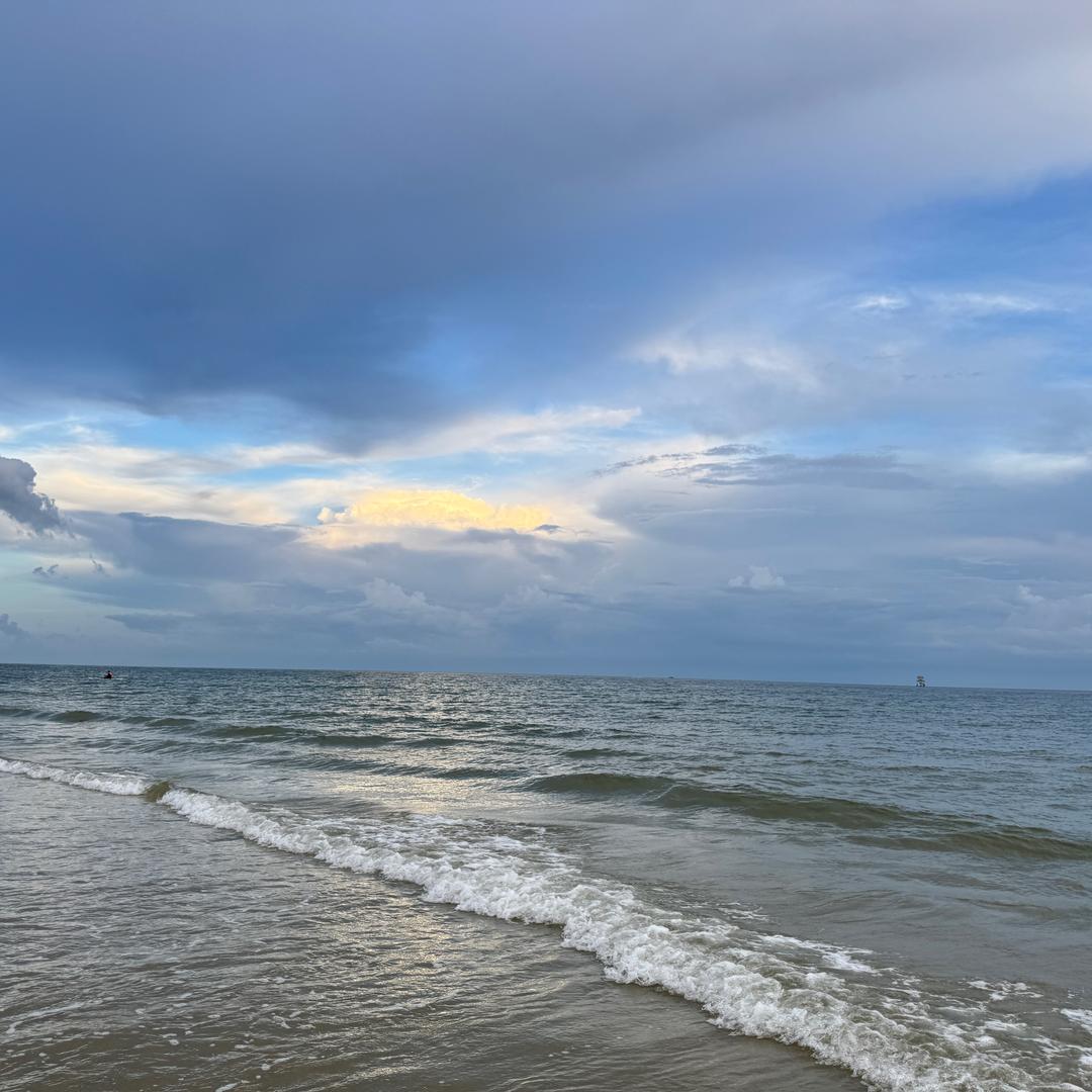 🐲小猫会烤鱼🐟