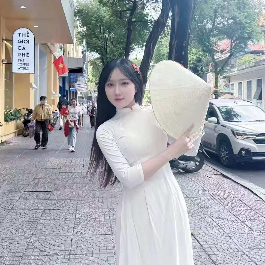 越南女婿林焕