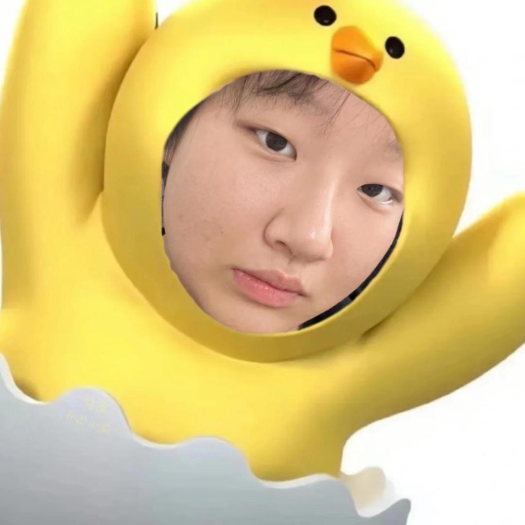 上岸的鸟🐣
