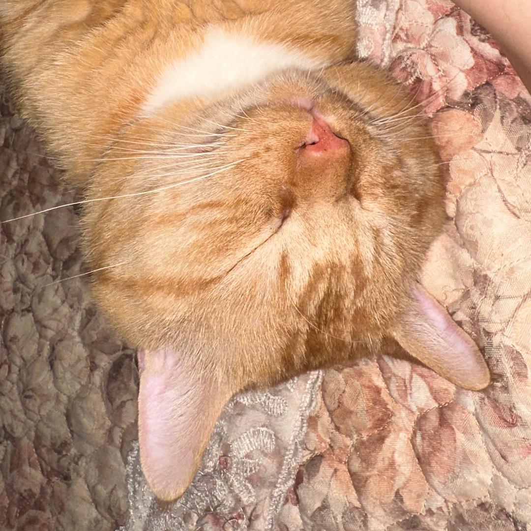 进入懒洋洋频道