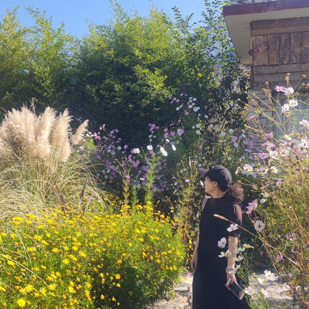 缺心眼的糖葫芦