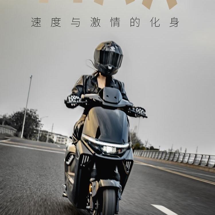 飞野鼎鼎电动车专卖店