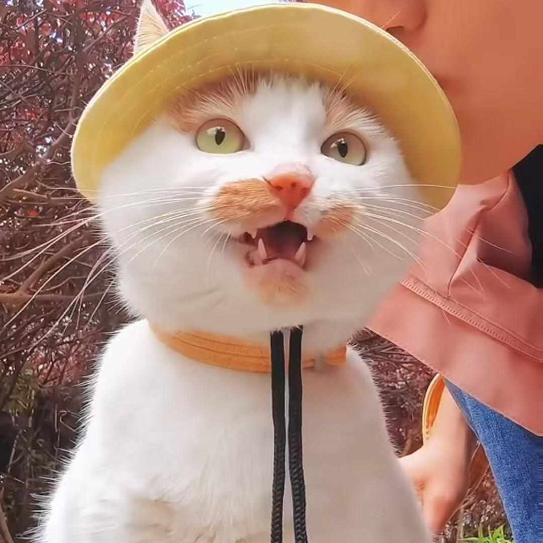 胖丫妈(胖丫和憨包弟弟)